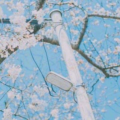 幸运快3在线计划网站